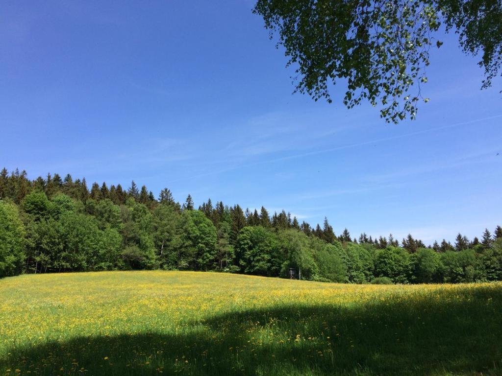 Ferienwohnung Gut Eschlsaign Arrach Luaran gambar